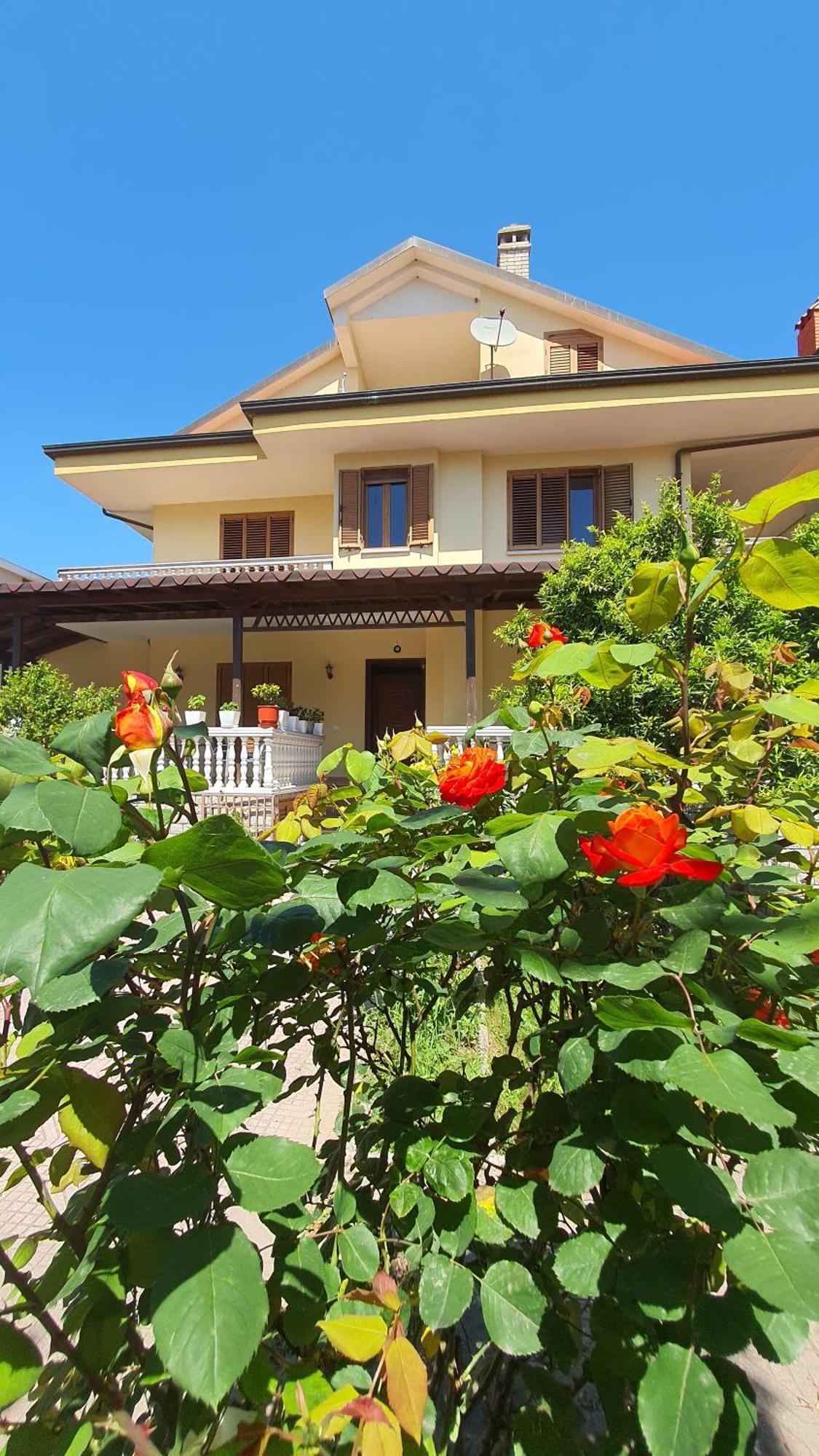 Vizion Hotel Shkodër Eksteriør billede